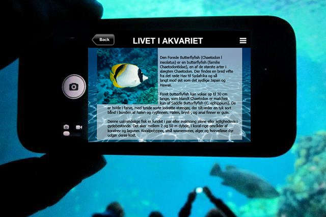 app-design-livet-i-akvariet
